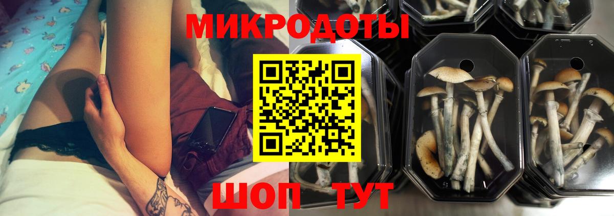 Балашов  где продают наркотики  Вход с VPN  Галлюциногенные грибы мухоморы 